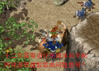 十二年国粤语疗伤嗨串和平MC阿铭游戏战歌歌曲问题型带? 十二年国粤语疗伤嗨串和平MC阿铭游戏战歌歌曲问题型带?