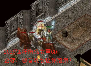 2025锋籽伤感女声CD金碟,哪首战歌让你落泪? 2025锋籽伤感女声CD金碟,哪首战歌让你落泪?