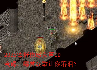 2025锋籽伤感女声CD金碟,哪首战歌让你落泪? 2025锋籽伤感女声CD金碟,哪首战歌让你落泪?