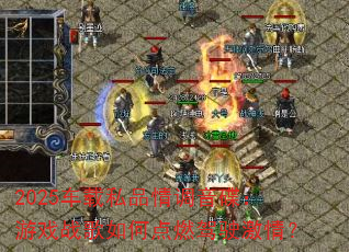 2025����˽Ʒ�����������Ϸս����ε�ȼ��ʻ���飿