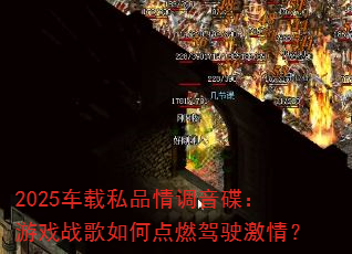 2025����˽Ʒ�����������Ϸս����ε�ȼ��ʻ���飿