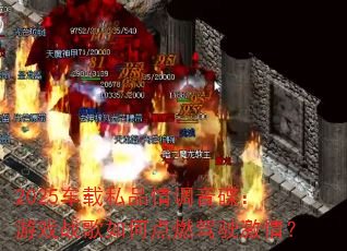 2025����˽Ʒ�����������Ϸս����ε�ȼ��ʻ���飿