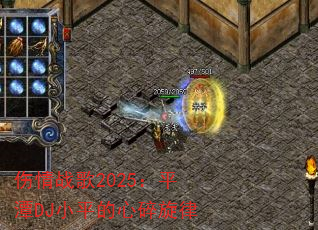 ����ս��2025��ƽ̶DJСƽ����������