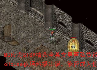 MCӦ��STSM��ѡȫӢ������˽��˵��ElectroHouseҹ���Ȳ����գ��ܷ��Ϊ�����Ϸս�裿