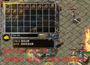 MCAjunMix2025��������ս������Ӣ�İ�ȫ��¼