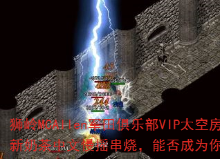 ʨ��MCAllen������ֲ�VIP̫�շ�ȫ���̲�������ҡ���գ��ܷ��Ϊ�����Ϸս�裿