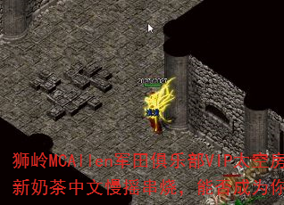 ʨ��MCAllen������ֲ�VIP̫�շ�ȫ���̲�������ҡ���գ��ܷ��Ϊ�����Ϸս�裿