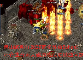 ��ɽMC����2025�����պ�Sohe�ư��������ִ����Ϸս����������ʹ���