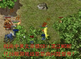 ʱ����Ӣ�Ĵ���CBllտ��MC����26����Ϸս����������ʹ���