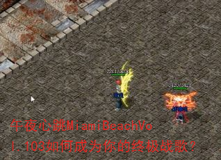 午夜心跳MiamiBeachVol.103如何成为你的终极战歌? 午夜心跳MiamiBeachVol.103如何成为你的终极战歌?