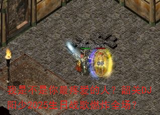 ���ǲ��������۰����ˣ��ع�DJ����2025����ս��ȼըȫ����