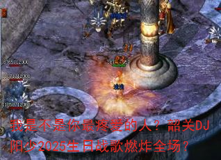 ���ǲ��������۰����ˣ��ع�DJ����2025����ս��ȼըȫ����