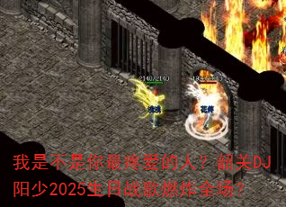 ���ǲ��������۰����ˣ��ع�DJ����2025����ս��ȼըȫ����