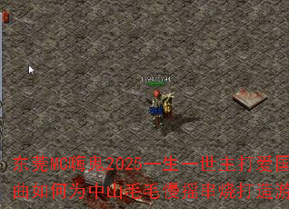 ��ݸMC�˹�2025һ��һ�����򰮹��������Ϊ��ɽëë��ҡ���մ�����Ϸս�裿