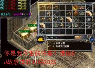 �����ҽ�������������ҡDJս�����Գ�2025