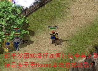 �·�ɳ��MC������δ���ȫӢ��ŷ����Ʒ��Ԫ��House������Ϸս�裿