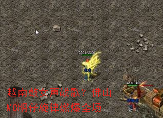 Խ�Ϲ�Ů��ս�裿��ɽMC��������ȼ��ȫ��