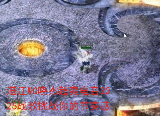 տ��MC���ܳ�ˬ����2025ս����ս��Ľ����