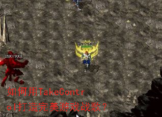 �����TakeControl����������Ϸս�裿