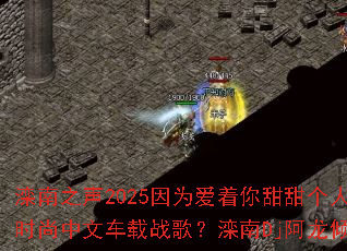 ����֮��2025��Ϊ�����������������ʱ�����ĳ���ս�裿����Dj�����������