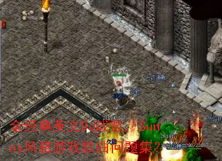 ȫ����Ӣ��DJս�裬Sunny�����Ϸ�������⼯��