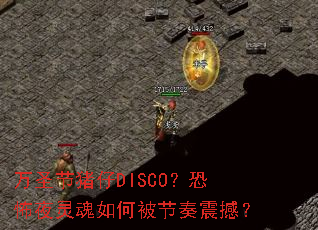 ��ʥ������DISCO���ֲ�ҹ�����α������𺳣�