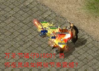 ��ʥ������DISCO���ֲ�ҹ�����α������𺳣�