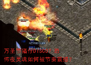 ��ʥ������DISCO���ֲ�ҹ�����α������𺳣�