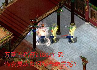 ��ʥ������DISCO���ֲ�ҹ�����α������𺳣�