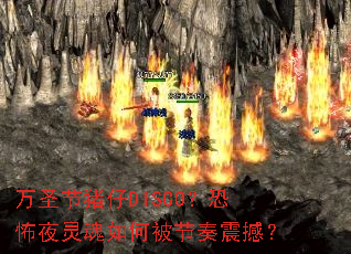 ��ʥ������DISCO���ֲ�ҹ�����α������𺳣�