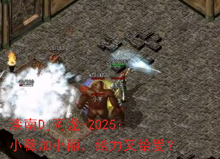 ����Dj����-2025��Сޱ��С���������ָ�����