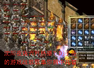 ����ҹ�������Ȳ���Dj�ӳ�����Ϸս��赥����м���