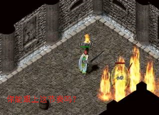 ���ܸ����������