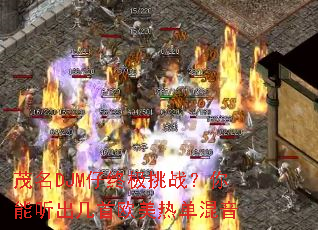 ï��DJM���ռ���ս��������������ŷ���ȵ�����