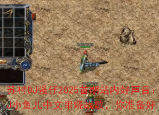 �մ�DJǿ��2025����վ�ں�������DJС������Ĵ���ս�裬��׼��������