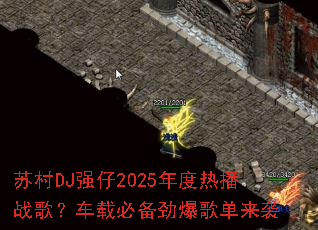 苏村DJ强仔2025年度热播战歌?车载必备劲爆歌单来袭 苏村DJ强仔2025年度热播战歌?车载必备劲爆歌单来袭
