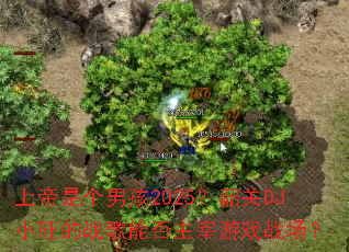 �ϵ��Ǹ��к�2025���ع�DJС����ս���ܷ�������Ϸս����