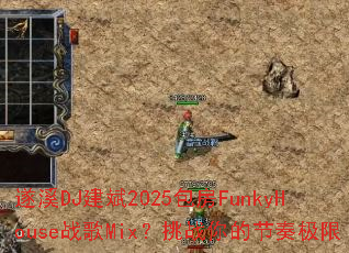 ��ϪDJ����2025����FunkyHouseս��Mix����ս��Ľ��༫��