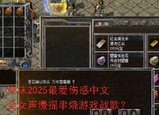 ��ĭ2025��˸�����ȫŮ����ҡ������Ϸս�裿