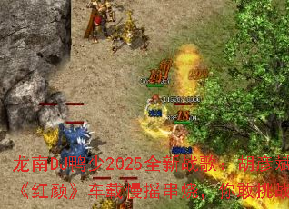 ����DJѼ��2025ȫ��ս�裺����󡶺��ա�������ҡ���գ������ս��