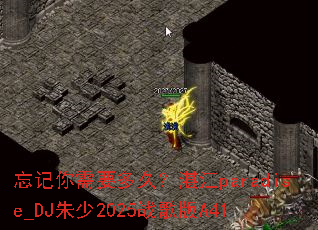 ��������Ҫ��ã�տ��paradise_DJ����2025ս���A41