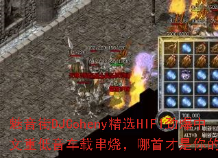 ������DJCoheny��ѡHIFI���������ص������ش��գ����ײ�������ռ�ս�裿