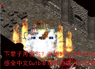 �±����ٰ��㣿����Djΰ��MIX2025�˸�ȫ����Culb�����ܷ��Ϊ����ռ�ս�裿