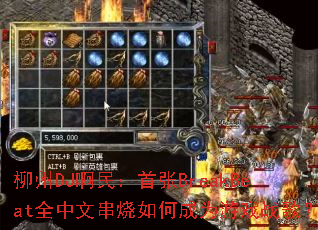 ����DJ��������BreakBeatȫ���Ĵ�����γ�Ϊ��Ϸս�裿