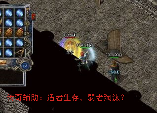 传奇辅助:适者生存,弱者淘汰? 传奇辅助:适者生存,弱者淘汰?