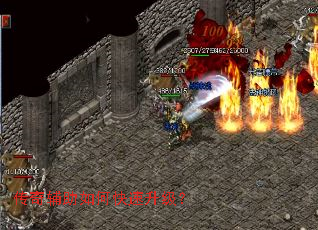 ���渨����ο���������