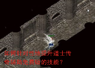 �������Ե�������ʿ���渨����Ѱ�ļ��ܣ�