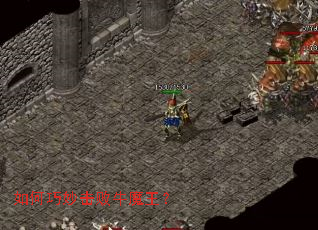 ����������ţħ����