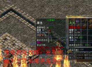 传奇游戏攻略:发布网能为您提供哪些服务? 传奇游戏攻略:发布网能为您提供哪些服务?