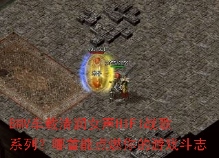 BMV��������Ů��HIFIս��ϵ�У������ܵ�ȼ�����Ϸ��־